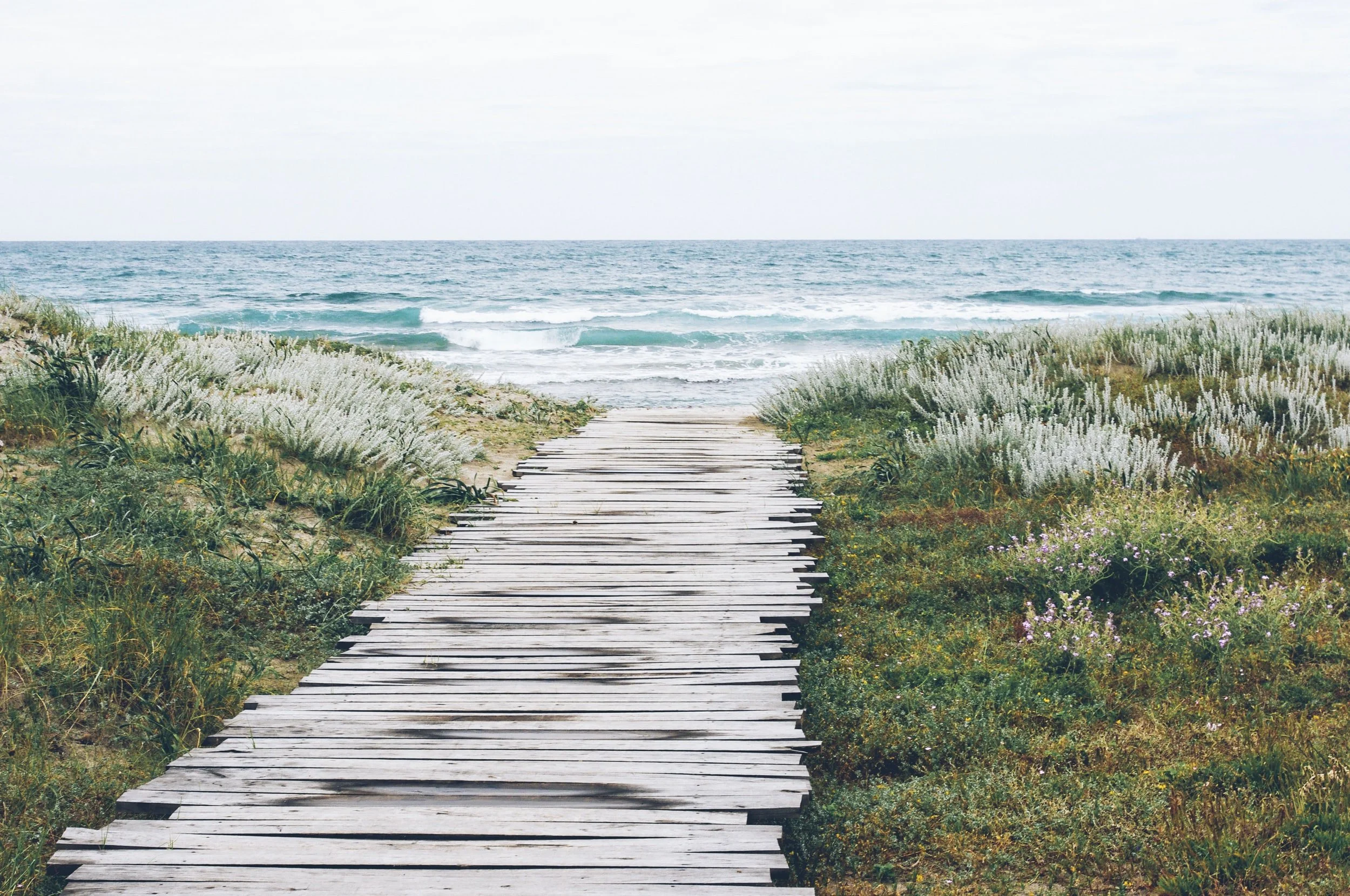 Blumberg Law Group LLP in Solana Beach, CA