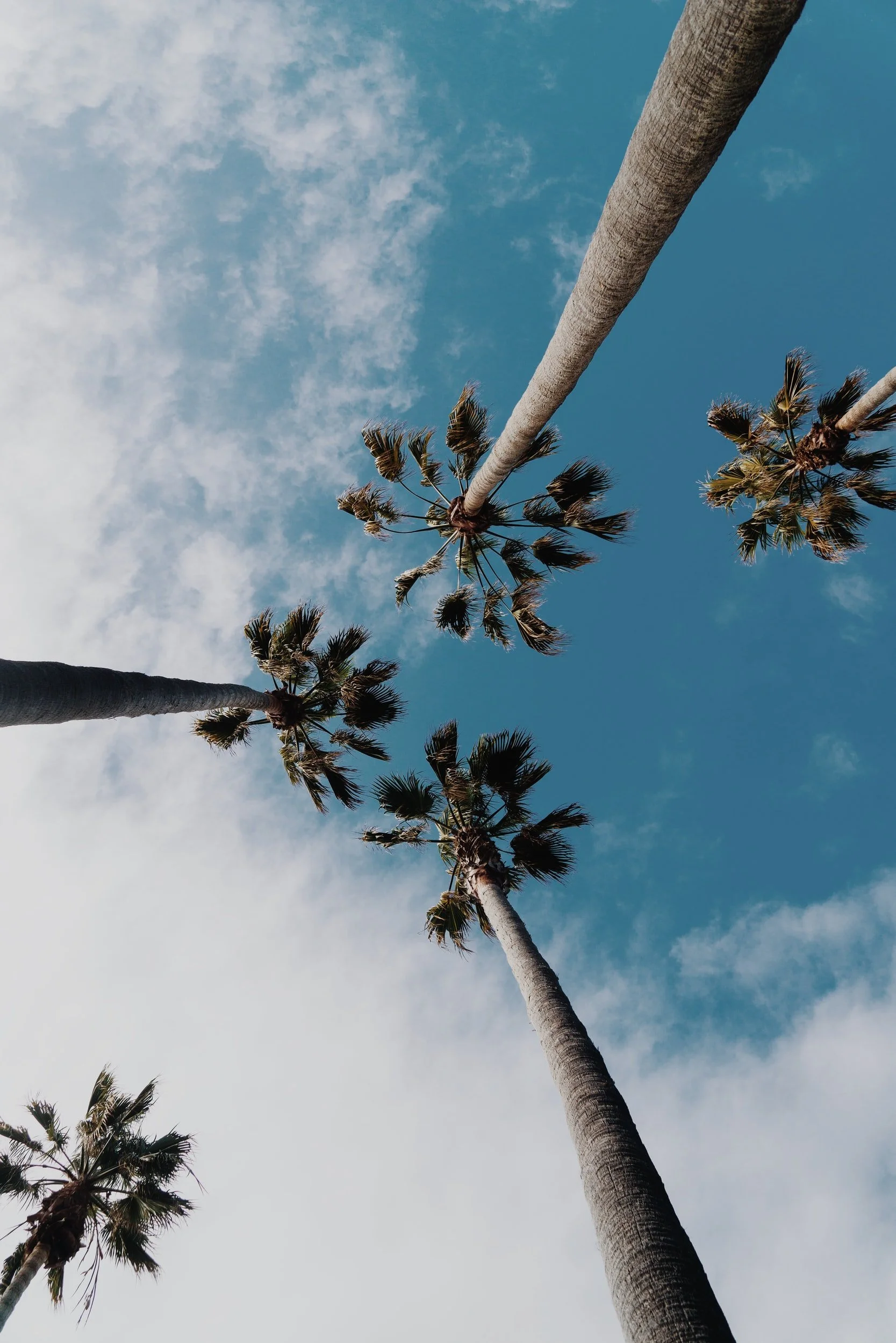 Blumberg Law Group LLP in Solana Beach, CA (2)