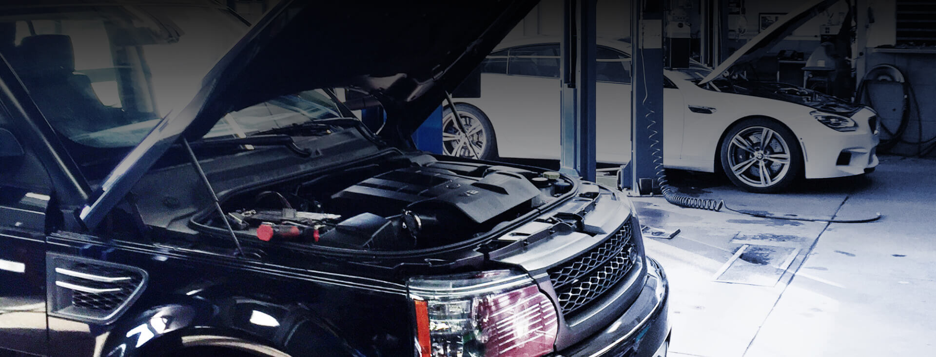 Hi-Tech Import in Downers Grove, IL