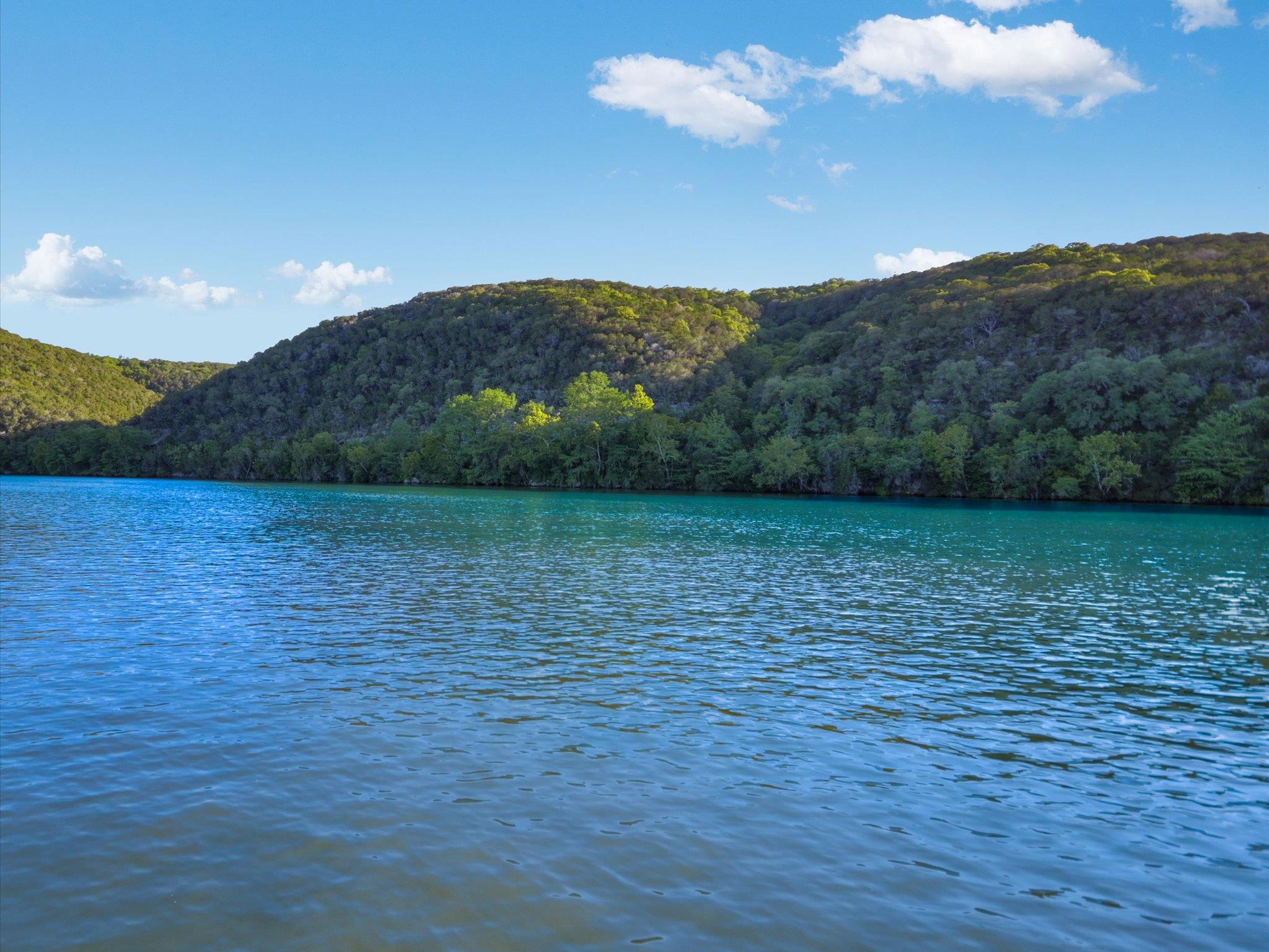 Kathryn Scarborough Real Estate in Austin, TX (4)