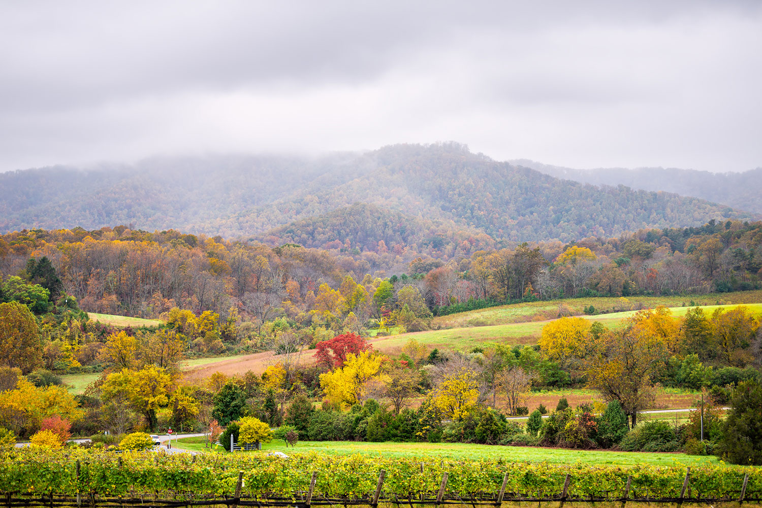 Lake Anna Island Realty in Mineral, VA (3)