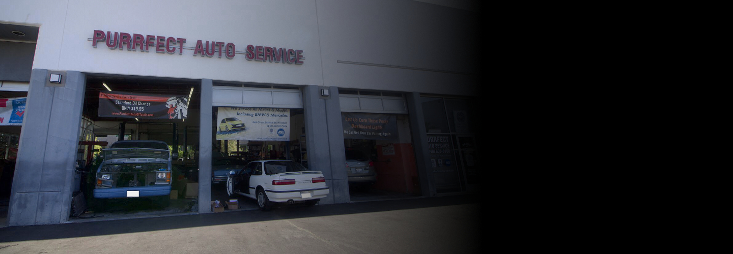 Purrfect Auto Services in Tustin, CA (3)