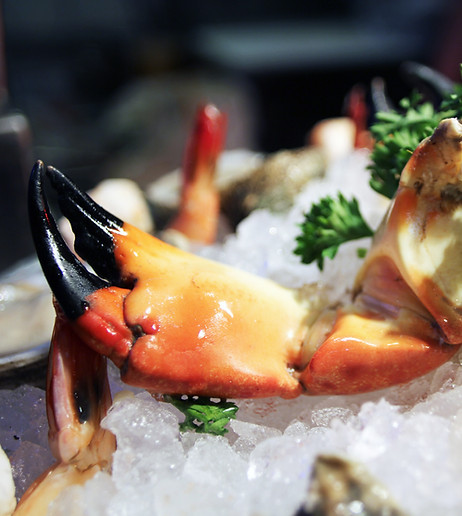 Crow's Nest Restaurant, Tavern & Marina in Venice, FL (3)