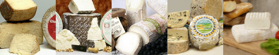 Peacock Cheese in Vernon, CA (2)