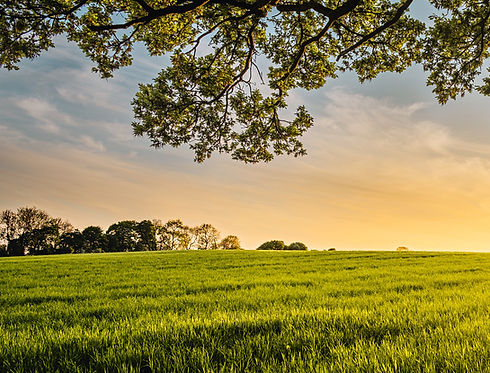 Provident Law / Estate Planning LLC in Pelham, AL