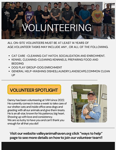 Valley Animal Haven in Lemoore, CA (2)