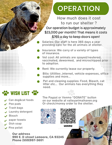 Valley Animal Haven in Lemoore, CA (3)