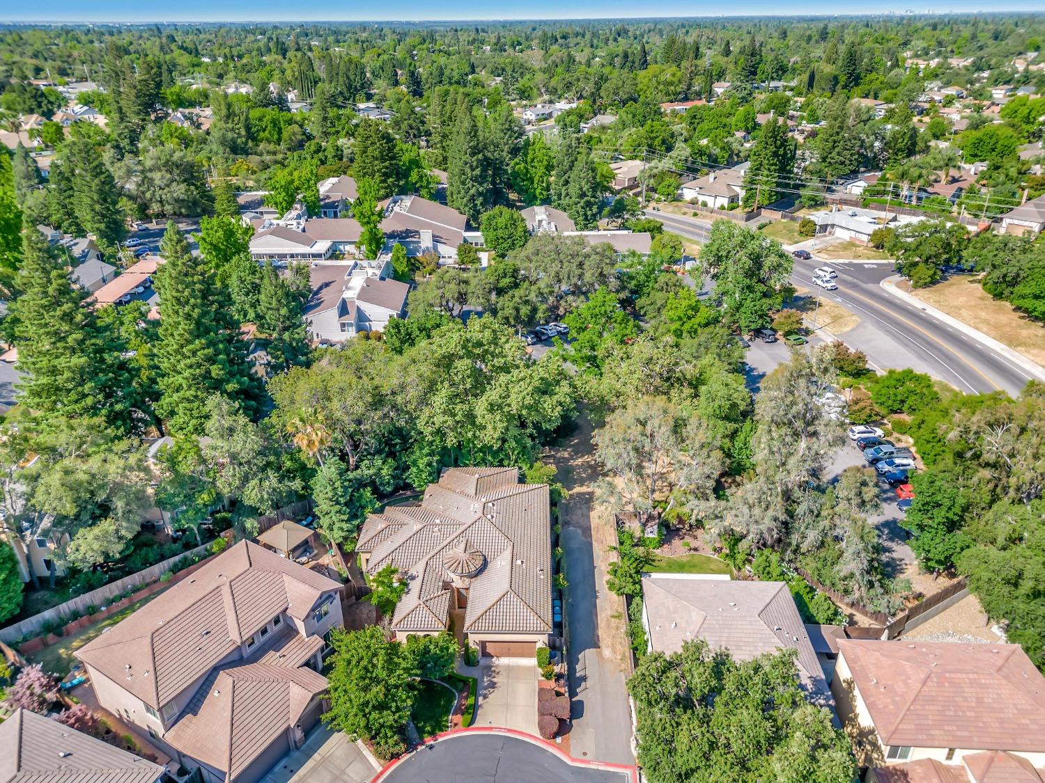 Mercedeh Sheik | Best REALTOR® in Granite Bay Roseville South Placer Area | Nick Sadek Sotheby's International Realty in Roseville, CA