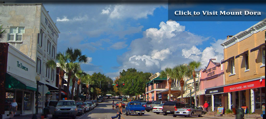 Leslie Campione Law Office in Mt Dora, FL (2)