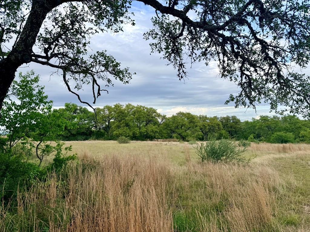 Reata Ranch Realty Group | Real Estate Brokerage Fredericksburg, Mason, Llano in Fredericksburg, TX (5)
