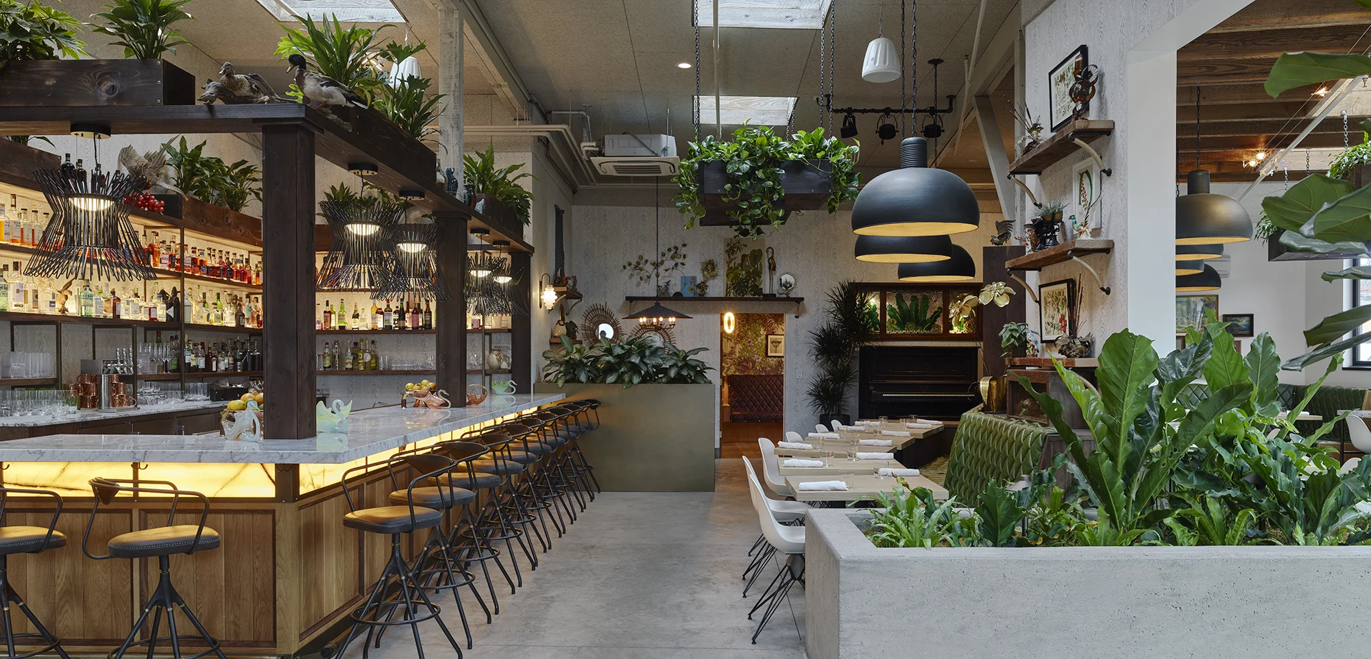 Fern Bar in Sebastopol, CA (6)