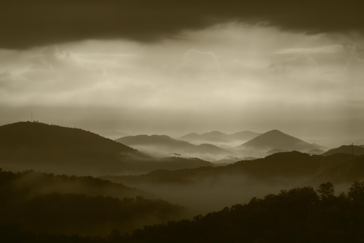 Mountain Mud Coffee Co in Bradshaw, WV (2)