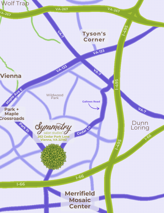 Symmetry Salon Studios Vienna in Vienna, VA (2)