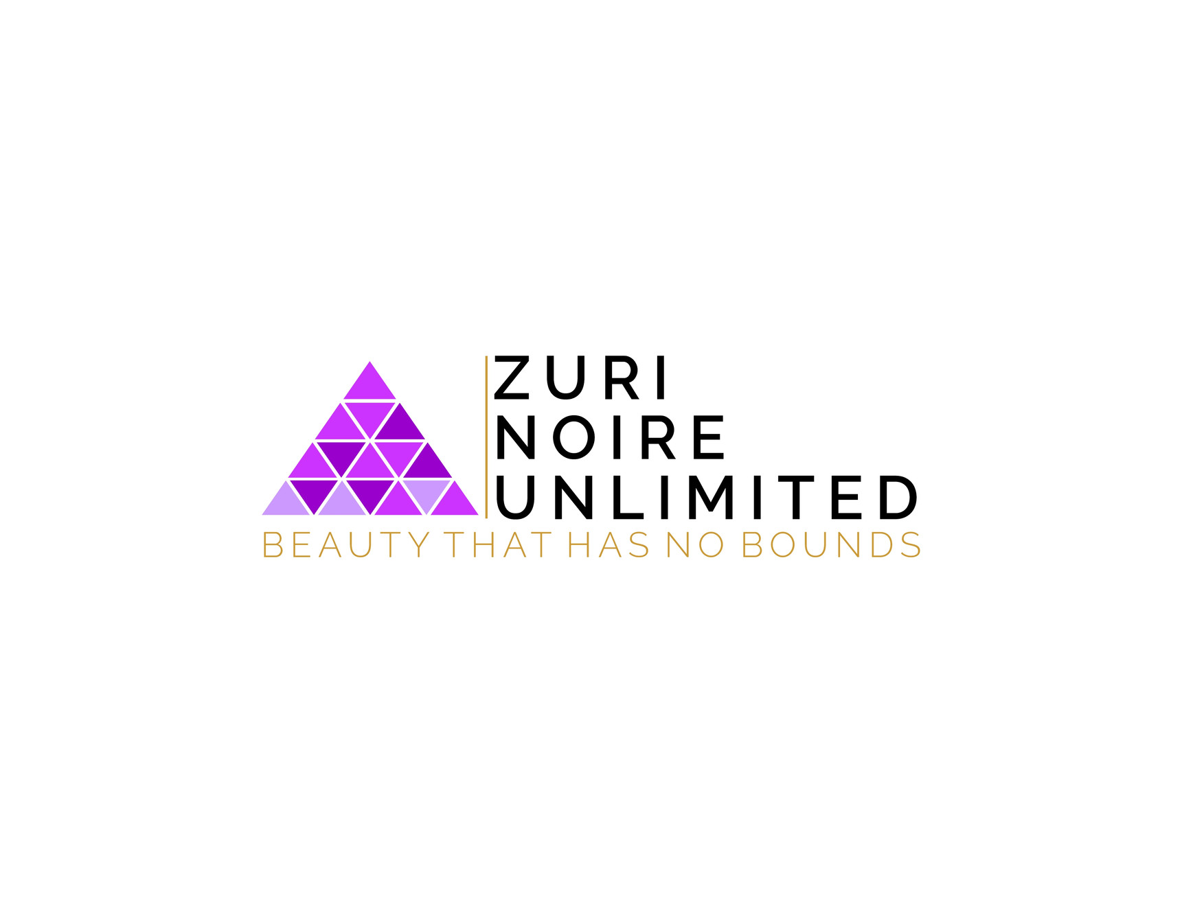 Zuri Noire Salon in Richmond, VA