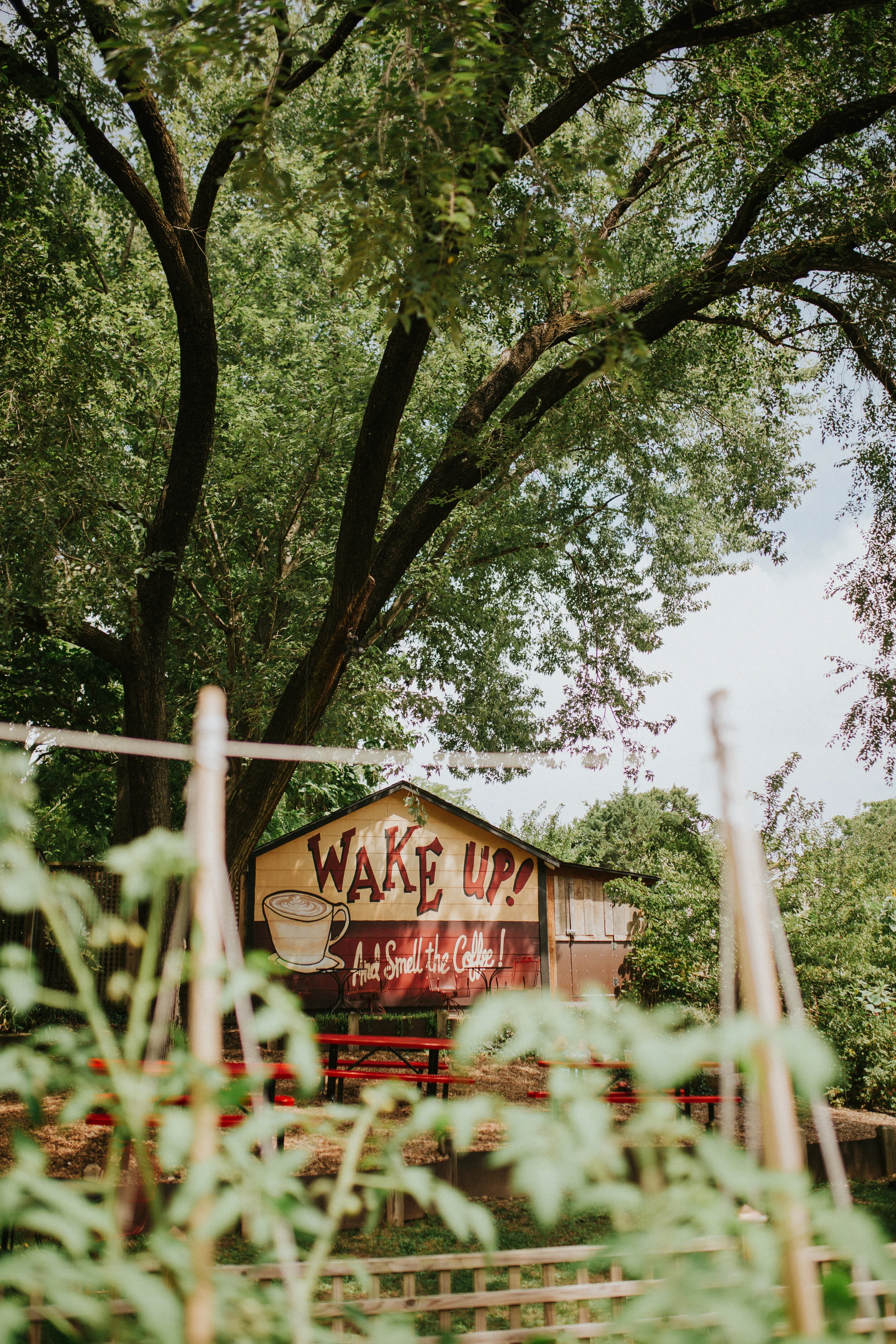 Liberty House Coffee and Café in Asheville, NC