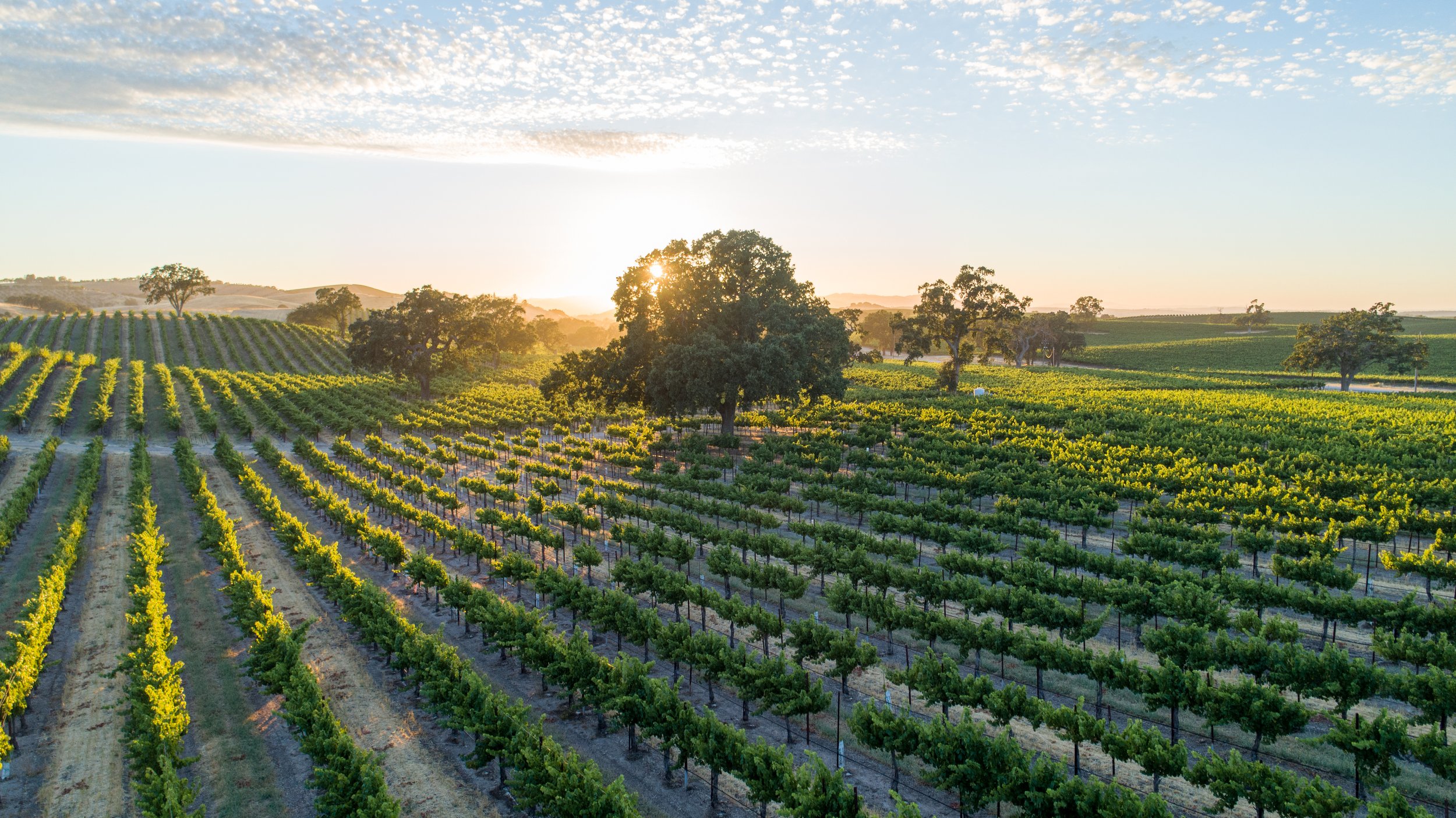Spirit of Paso Robles Restaurant in Paso Robles, CA