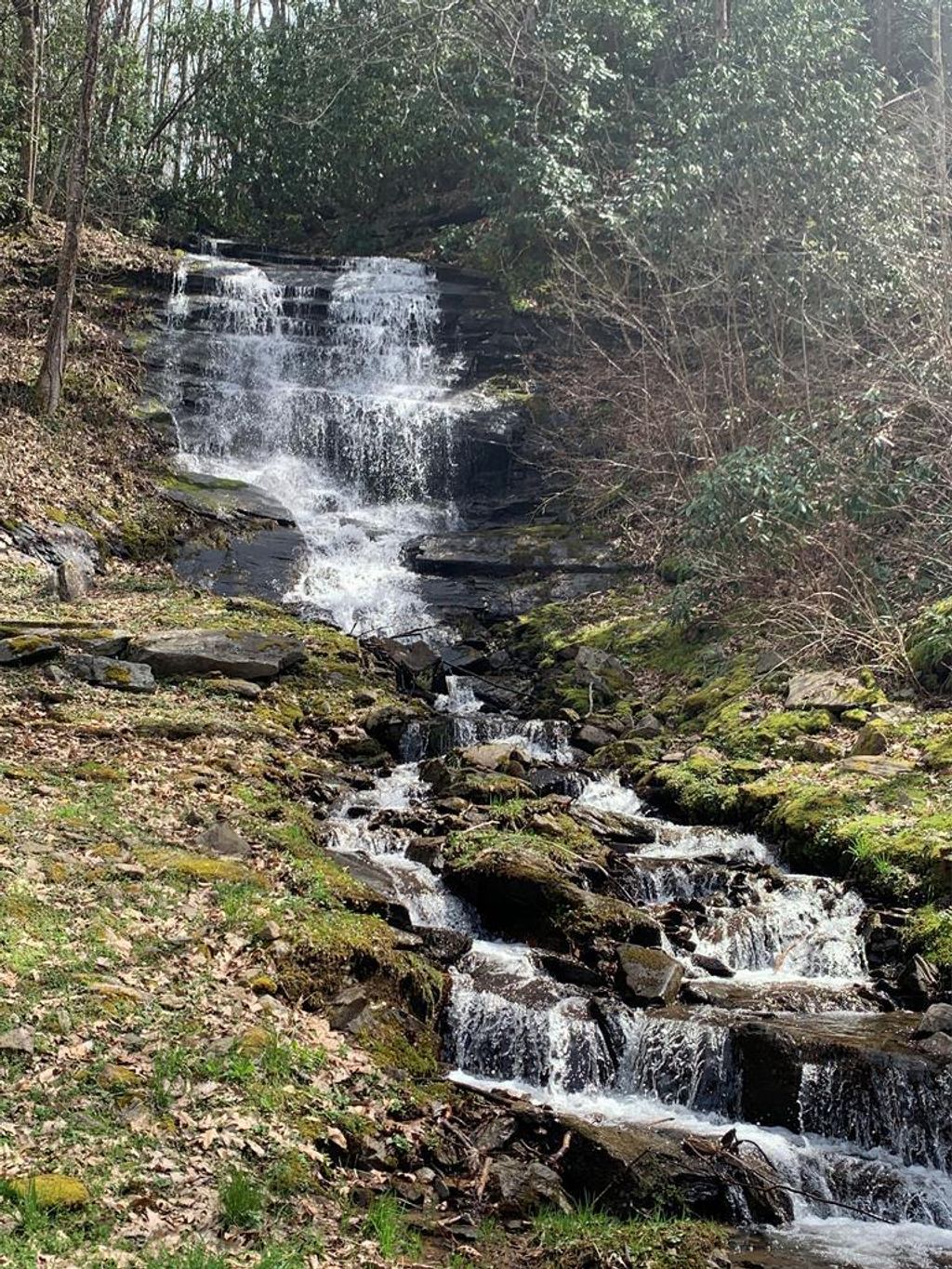Good Life Real Estate Co in Bryson City, NC (2)