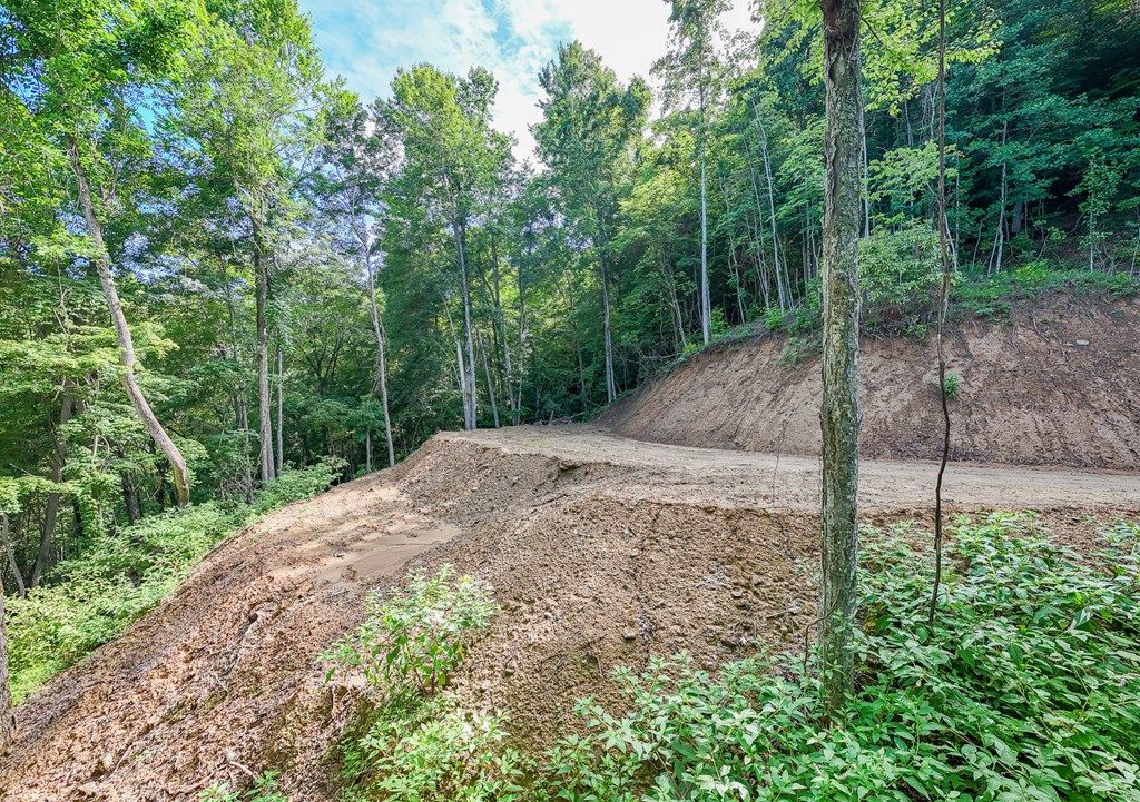 Good Life Real Estate Co in Bryson City, NC (6)