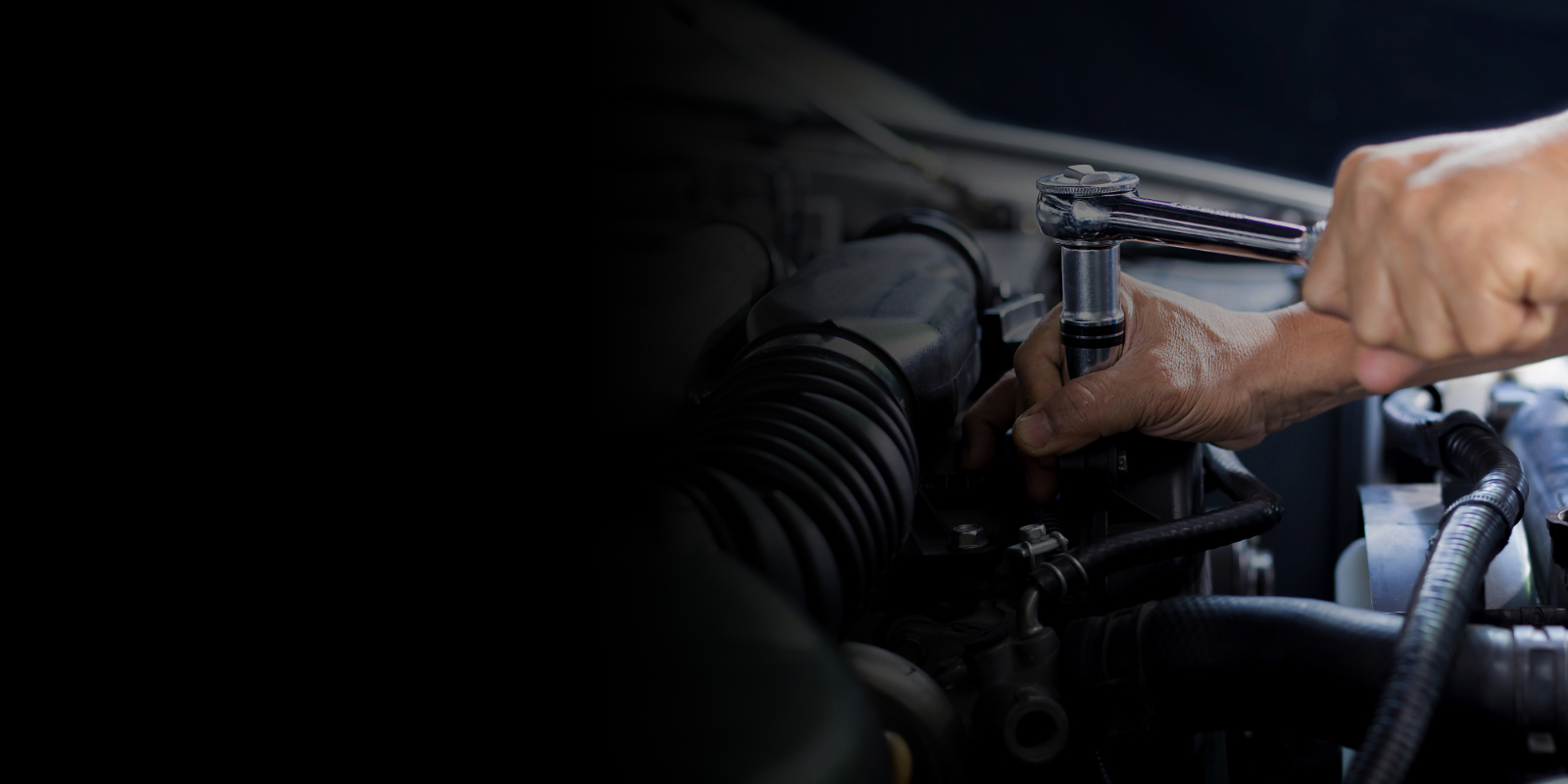 Greenwood Automotive Specialists in Glenside, PA (2)