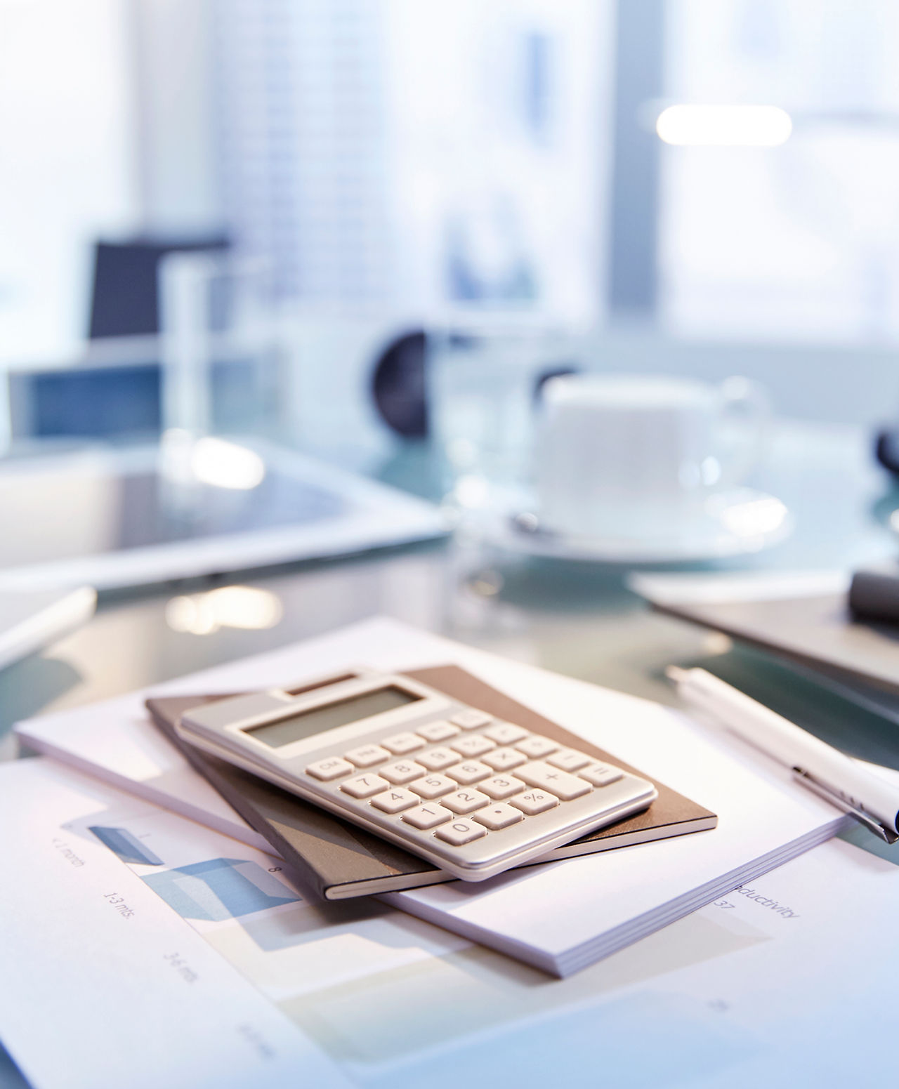Bandwidth Bookkeeping Services in Rocklin, CA (3)