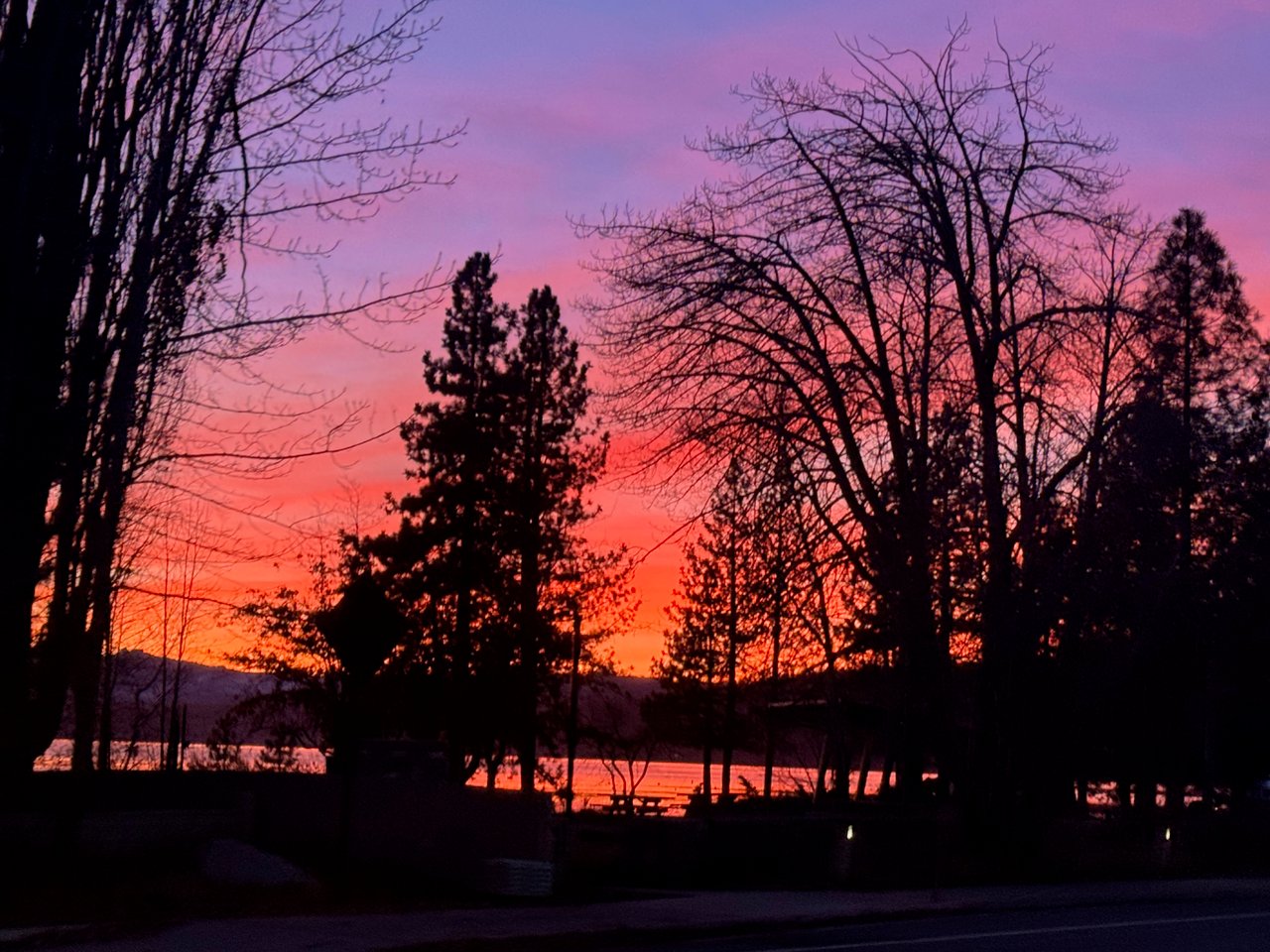 Meghan Mitchell - Realtor Penryn & Loomis in Loomis, CA (4)