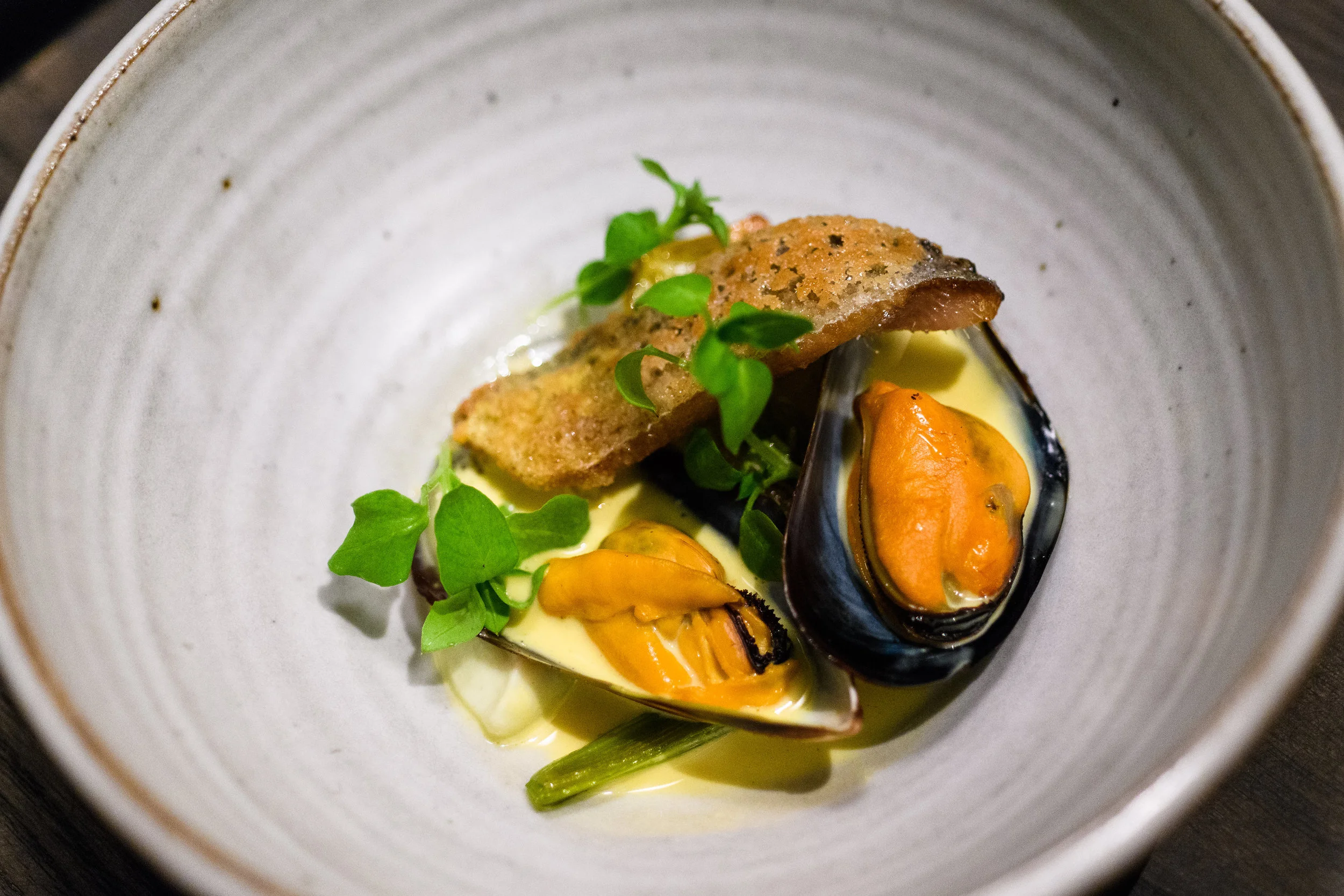Madcap in San Anselmo, CA (4)