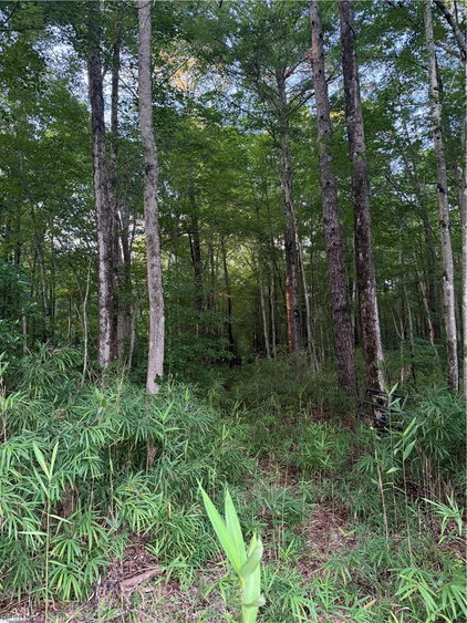 Salyer Wilmoth Homes Team, Real Estate Agent brokered by Atlantic Sotheby's -Residential Realtor in Chesapeake, VA (4)