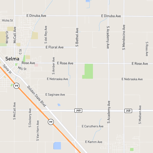 Michael Ridgway Tax Consultant in Selma, CA