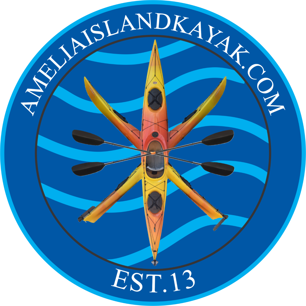 Amelia Island Kayak Excursions in Fernandina Beach, FL