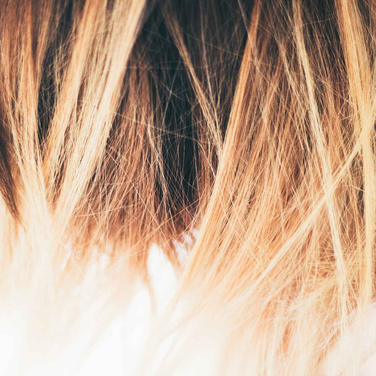 Polished Salon & Spa in Berwick, PA (4)
