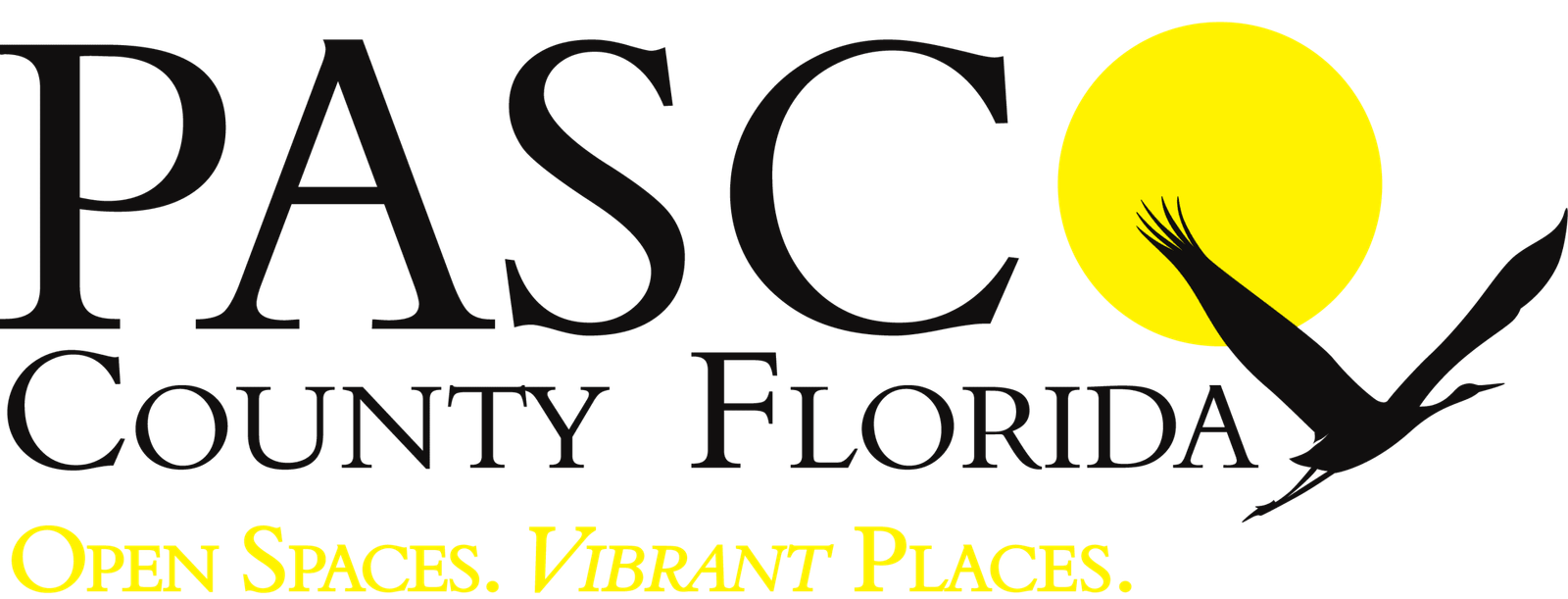 Liquid Gold Prints LLC in Zephyrhills, FL (2)