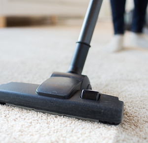 Lotus Cleaning Services in Oakland, CA (5)