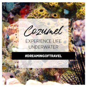 StarGaze Vacations LLC in Huber Heights, OH (5)