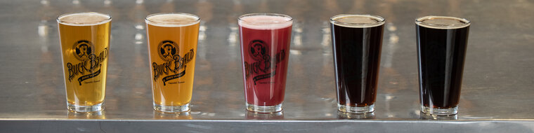 Buck Bald Brewing in Murphy, NC (2)