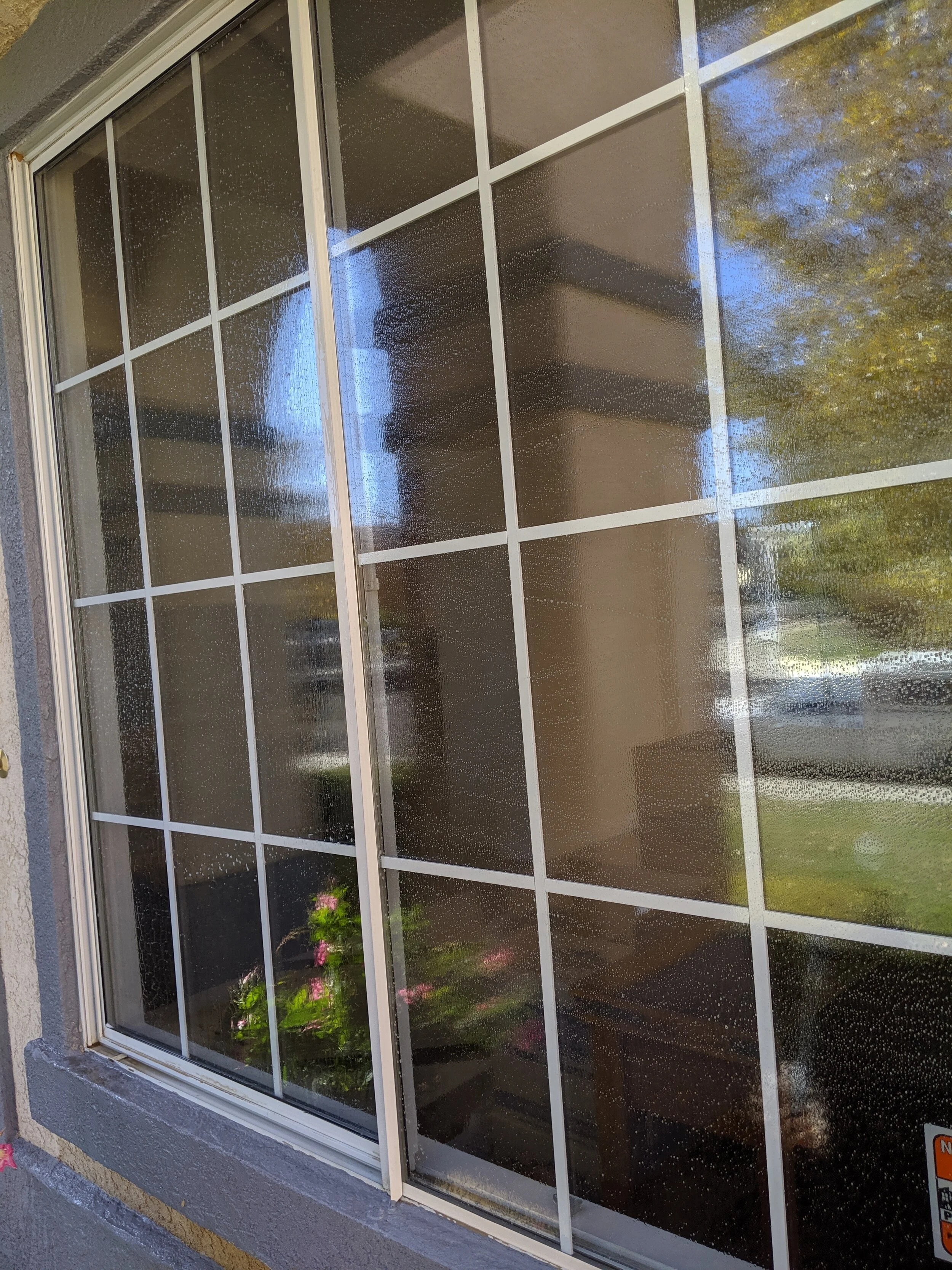 Rutledge Professional Window Cleaning in Acton, CA