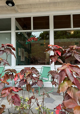 Elevenses Co in Tampa, FL