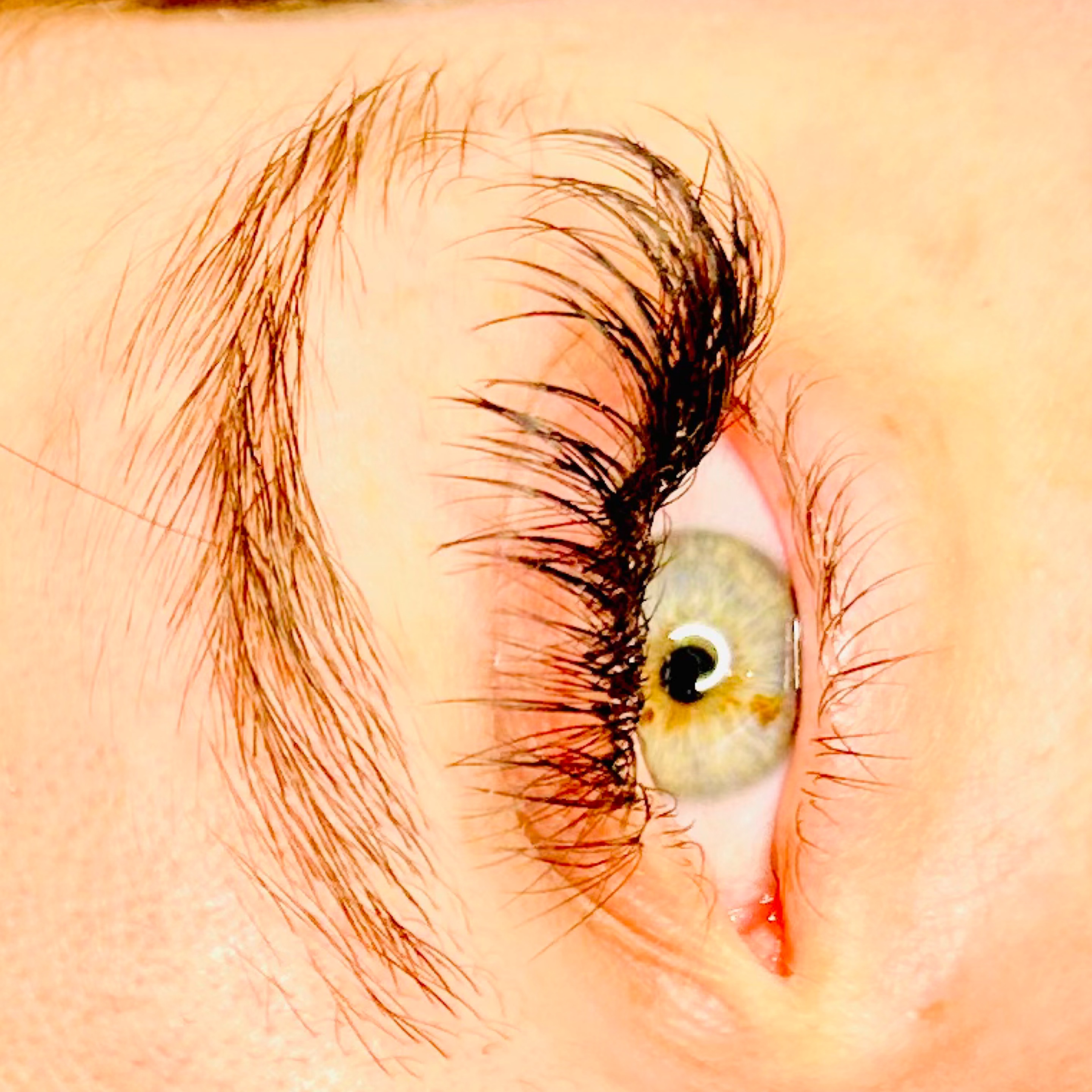 I Lash LLC in Seymour, IN