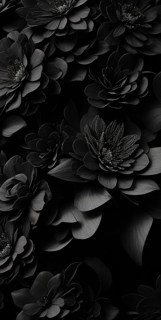 Paint It Black Hair Studio in Riverview, FL