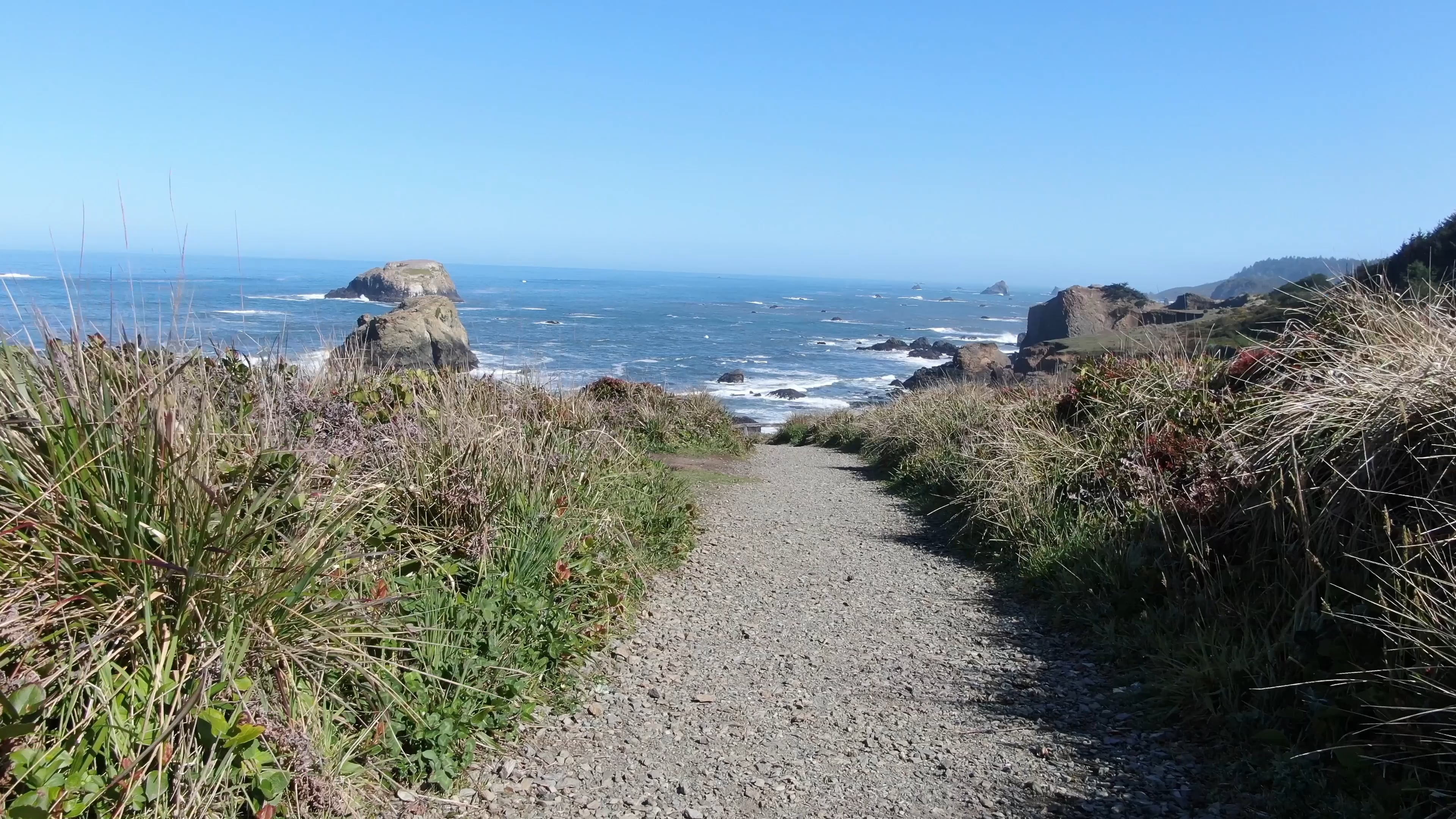 Brandon Brown Realtor in Eureka, CA