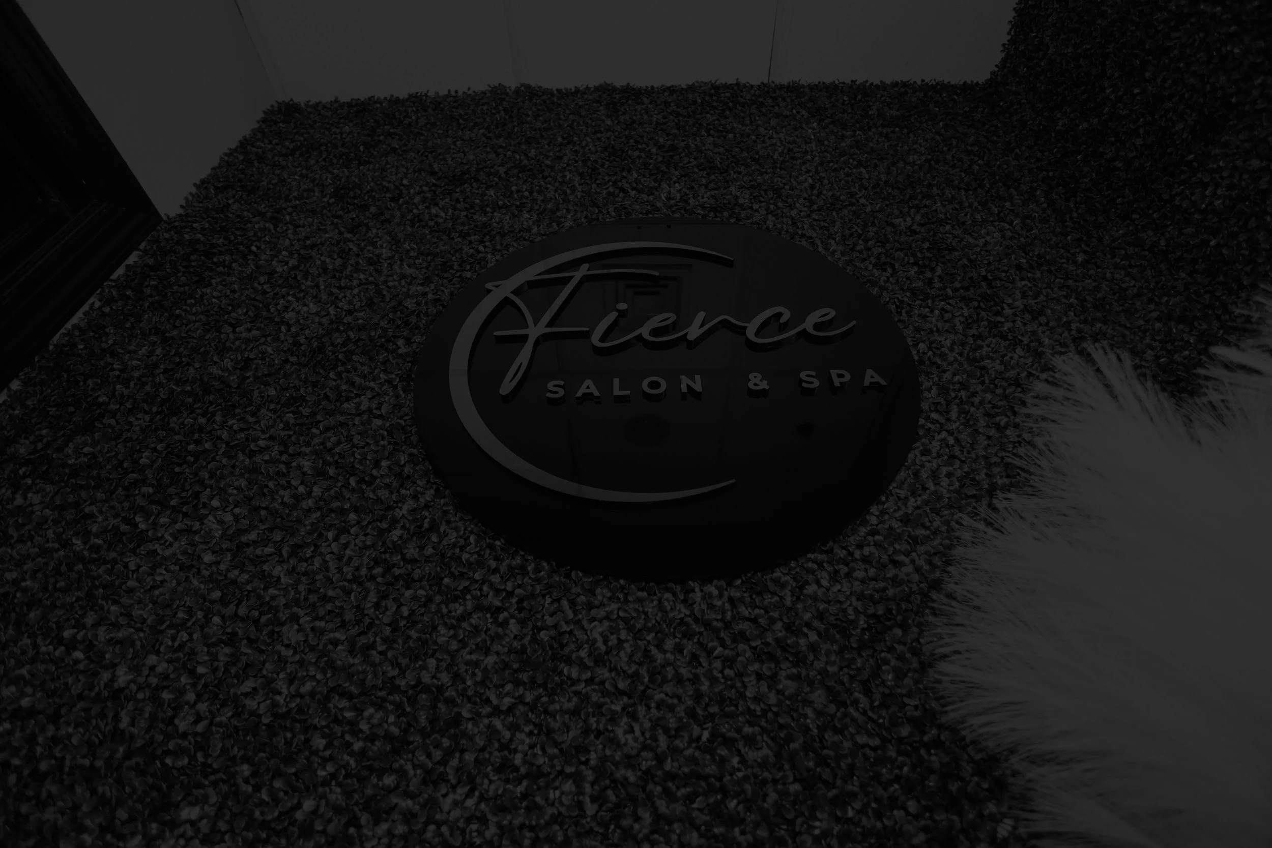 Fierce Salon & Spa in Wayne, NJ (5)