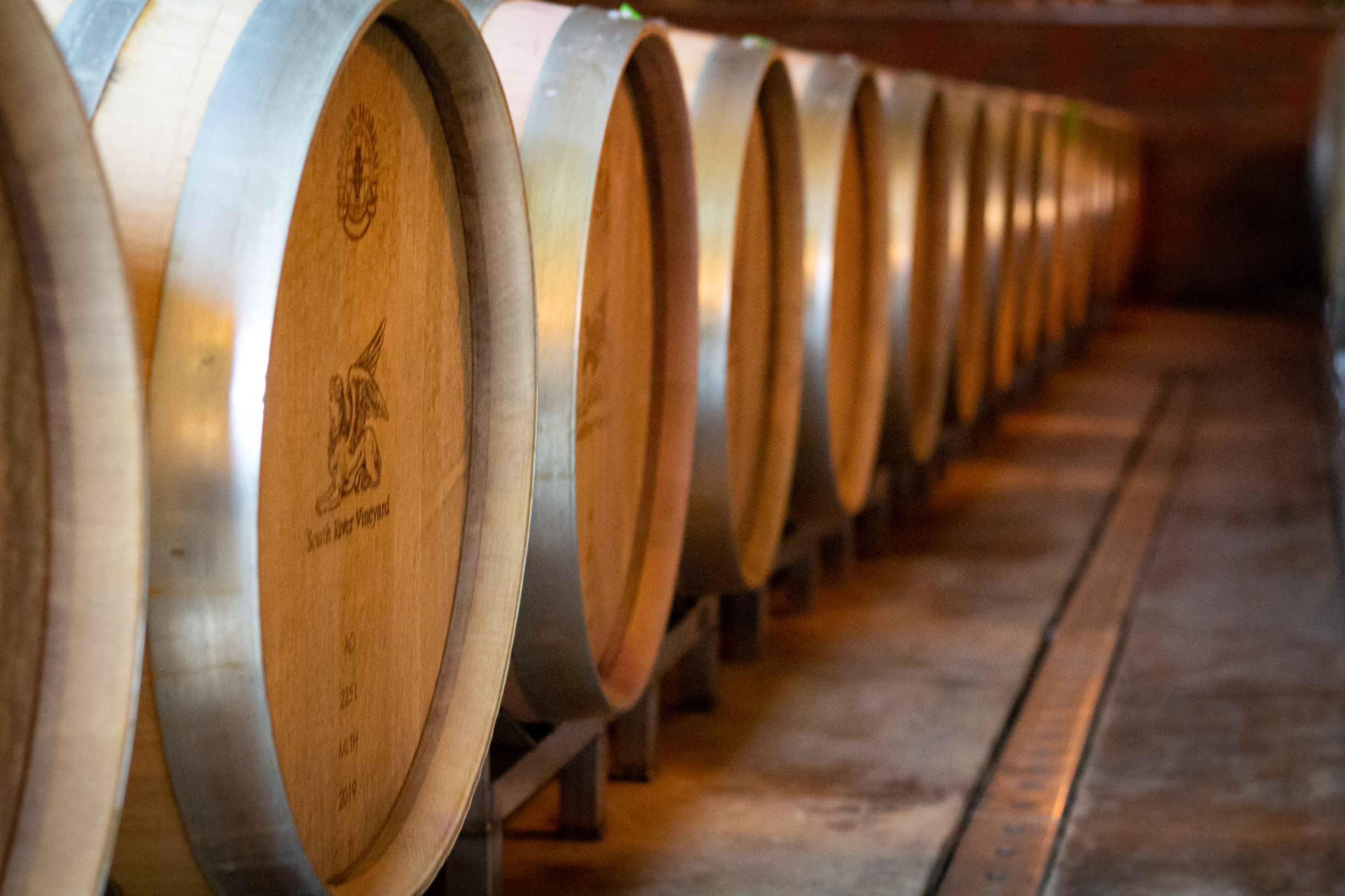 South River Vineyard in Geneva, OH (3)