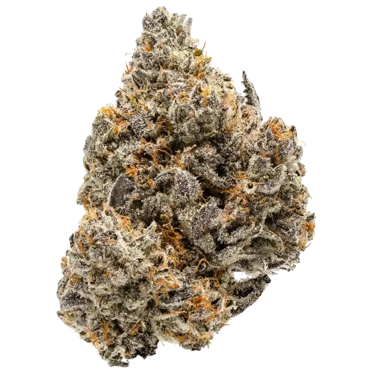 Cookies Dispensary Los Angeles in Maywood, CA (2)