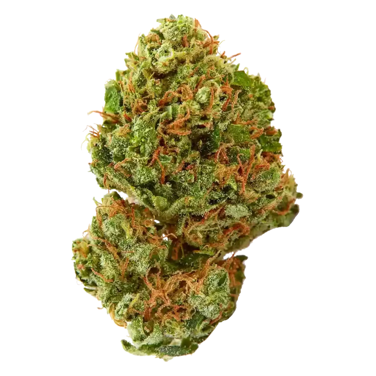 Cookies Dispensary Los Angeles in Maywood, CA (6)