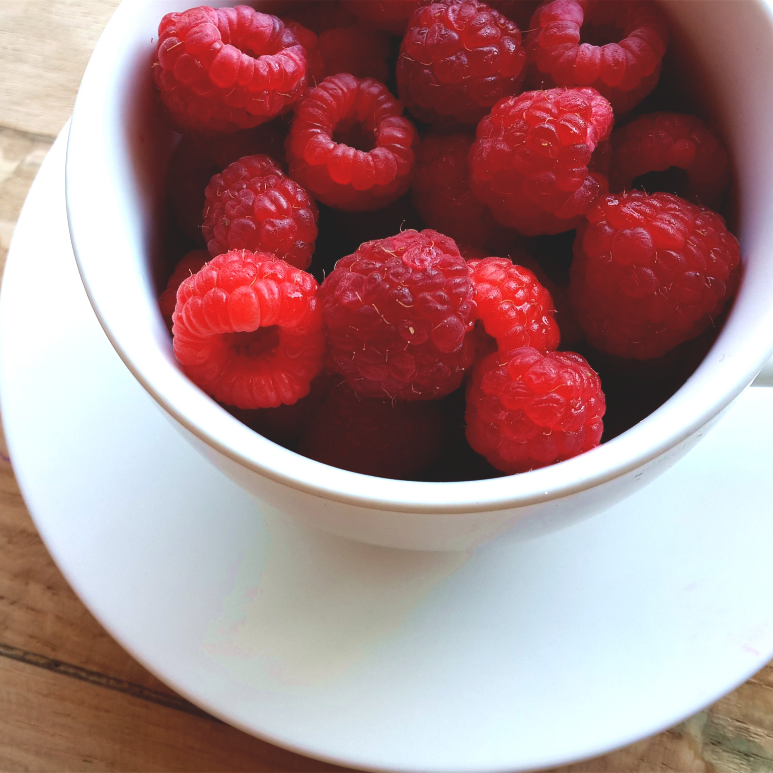 Nor'East Treats & Eats in Charlotte, NC