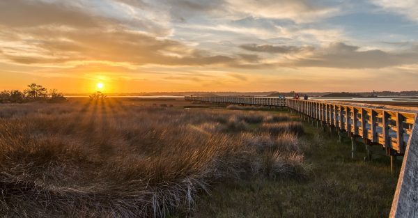 Island Real Estate in Surf City, NC (3)