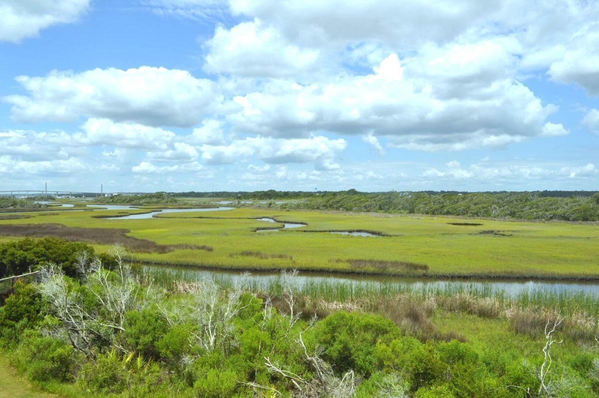 Island Real Estate in Surf City, NC (4)