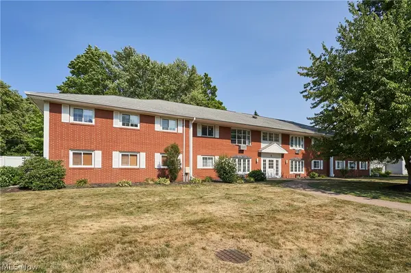 The Zingales Team at BHHS Professional Realty in Concord, OH (3)
