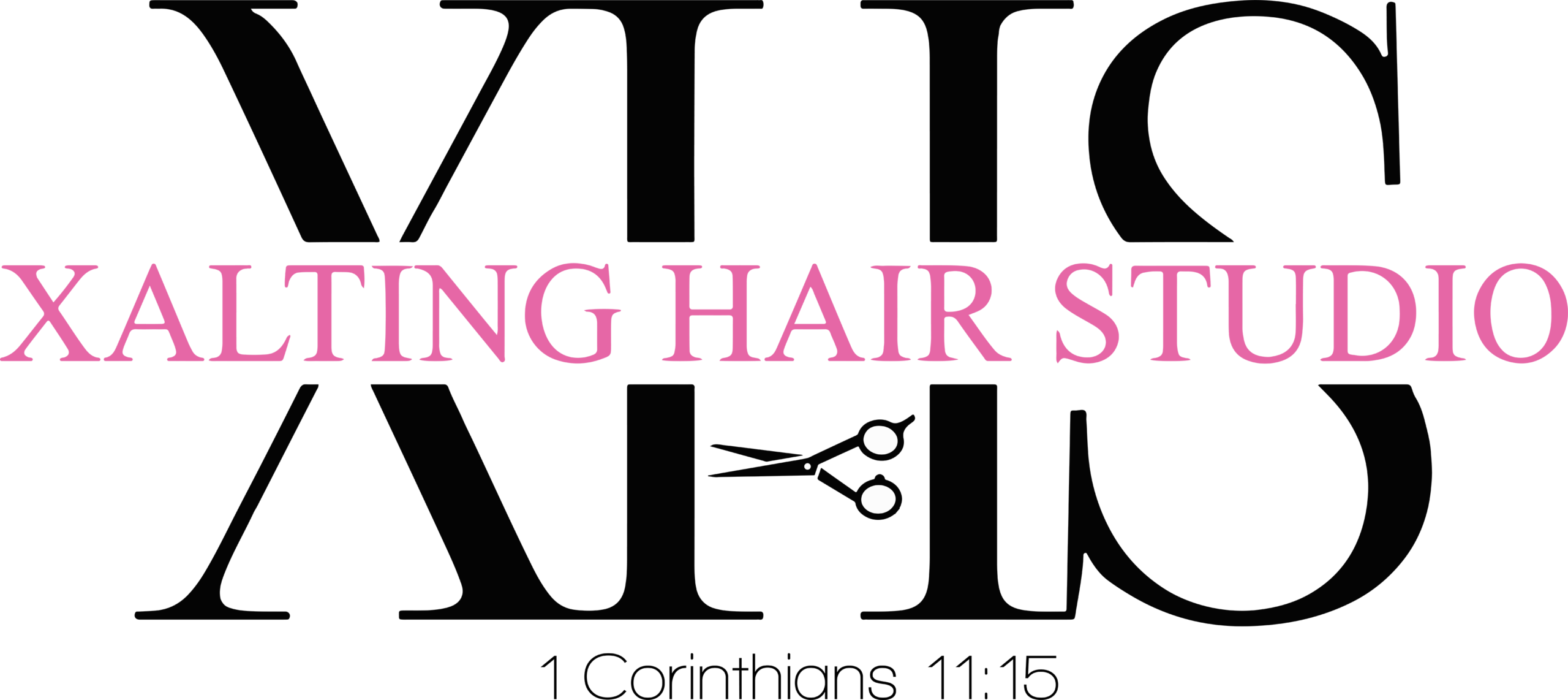 Xalting Hair Studio in Merrillville, IN (4)