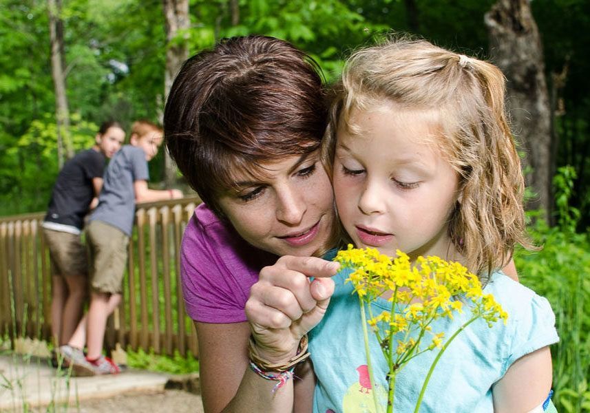 The Wilderness Center in Wilmot, OH (6)