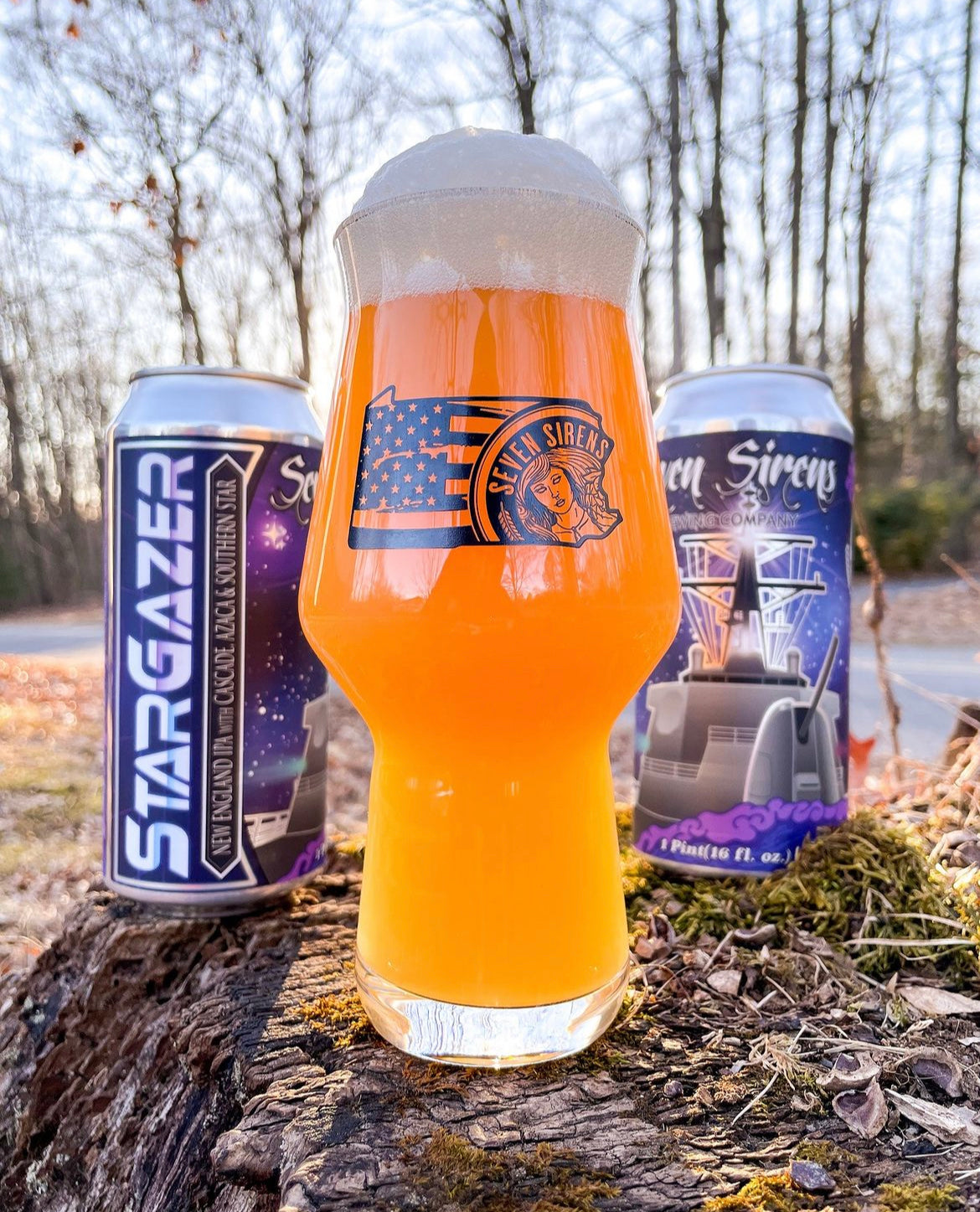 The Blendery - Seven Sirens Brewing Company in Easton, PA (4)